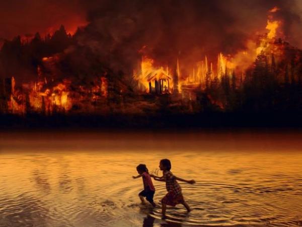 Amazônia pode virar savana com mudança climática